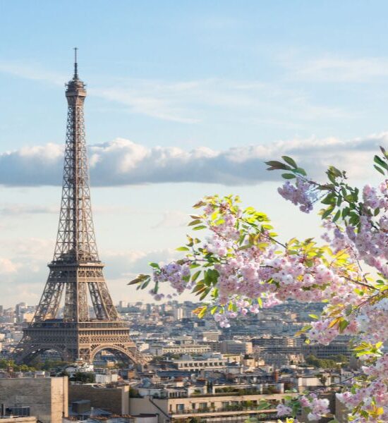 Paris – Swiss Delight